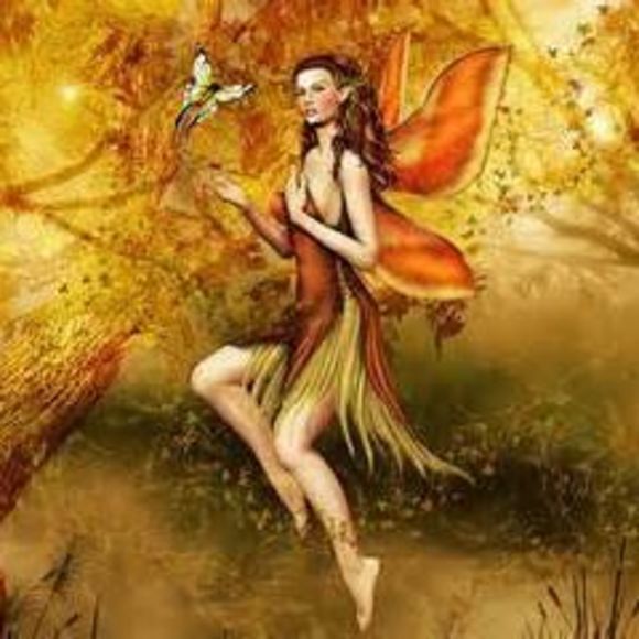 Meet your Posher, Lisa - Picture 1 of 1